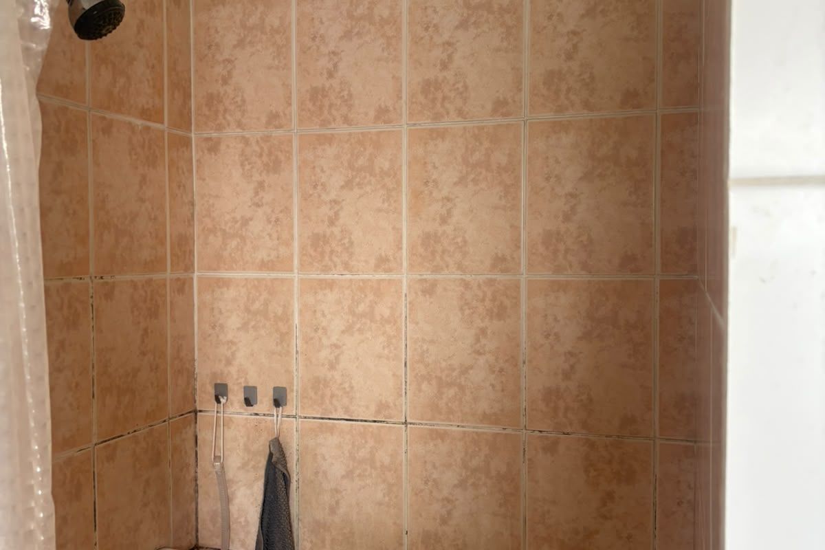 A shower enclosure featuring dated peach-toned ceramic wall tiles and a standard shower head, requiring cosmetic updates to grout and finishes.