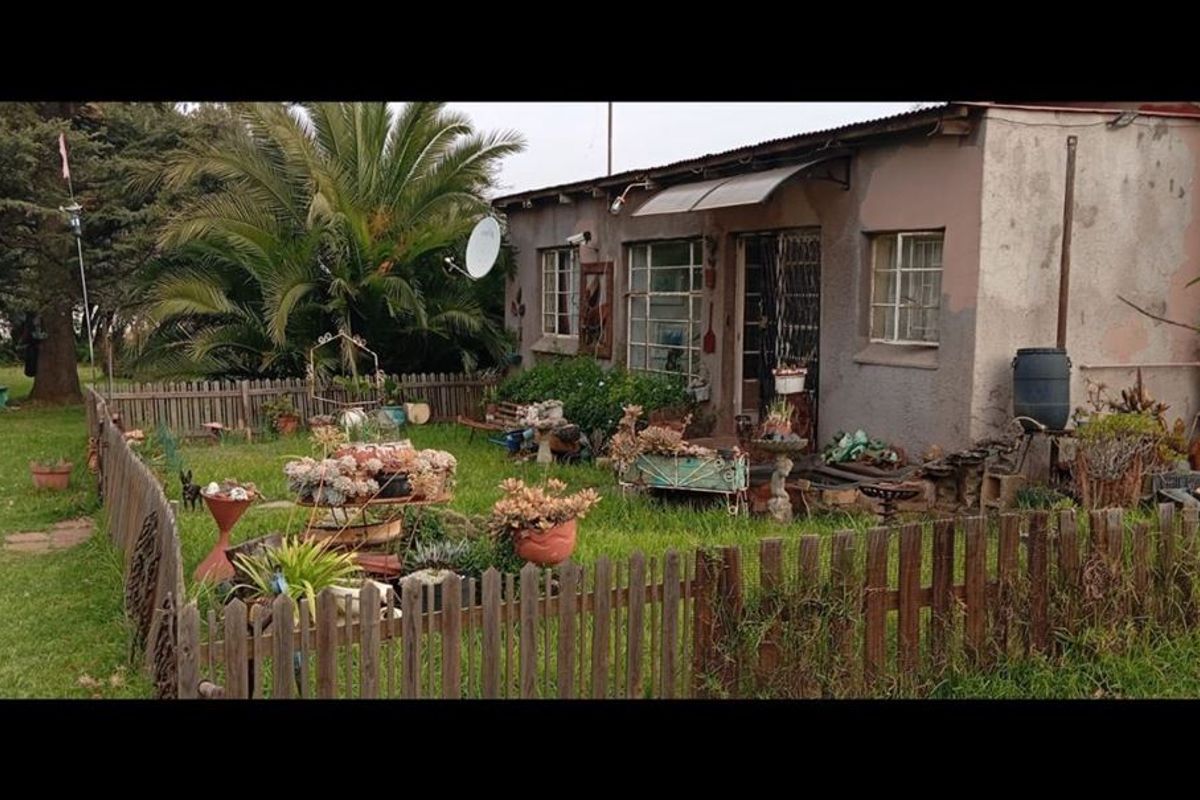 Rear view of a single-story house featuring a corrugated metal roof, steel-framed windows, and a surrounding wooden picket fence in a garden setting.