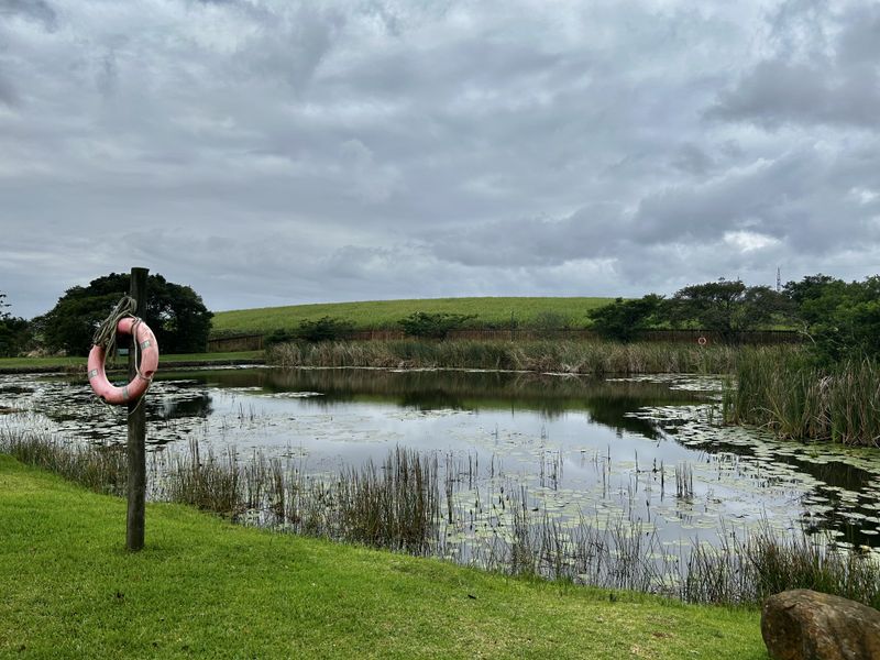 A scenic view of a natural pond surrounded by lush greenery and reeds, featuring a well-maintained lawn in the foreground.