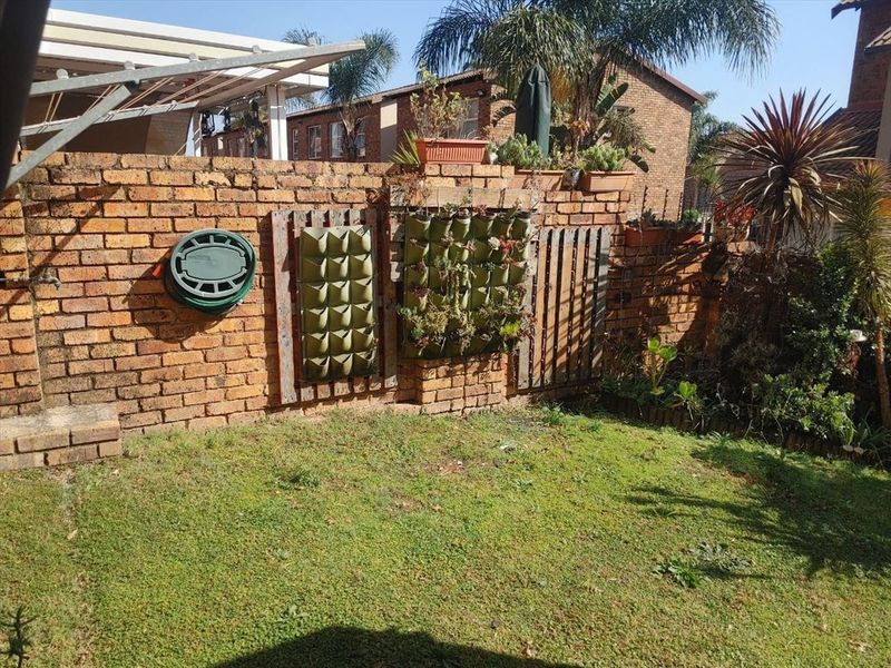 A private garden area featuring a brick boundary wall, established lawn, and vertical planting elements.