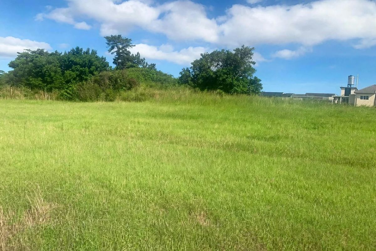 A view of a vacant residential plot featuring open grassland and mature trees, suitable for future development.
