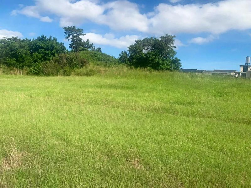 A view of a vacant residential plot featuring open grassland and mature trees, suitable for future development.