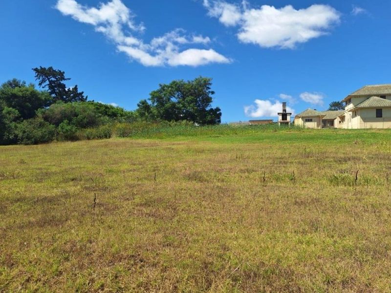 A view of a large, open residential plot featuring natural grass, mature trees, and an outdoor fireplace structure in the background.