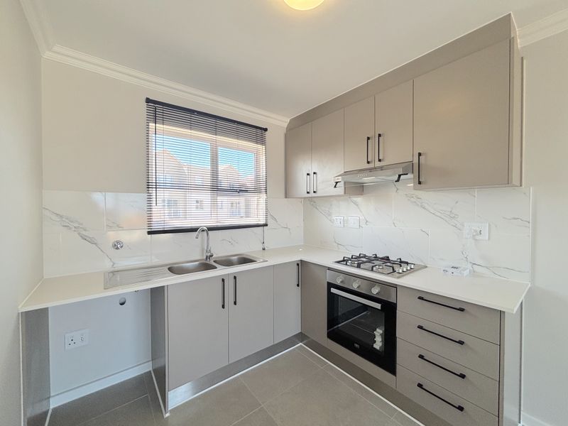 Modern kitchen featuring sleek grey cabinetry, marble-look splashbacks, a gas hob, built-in oven, and stainless steel sink with ample counter space.
