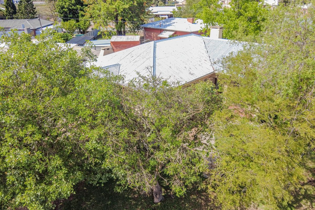 Aerial view of the property showing the corrugated metal roof structure and surrounding mature trees.