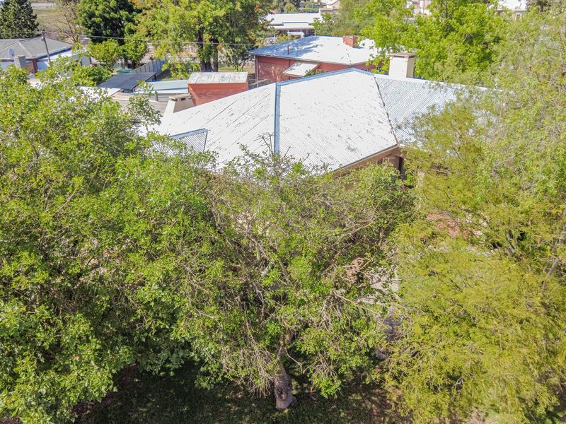 Aerial view of the property showing the corrugated metal roof structure and surrounding mature trees.