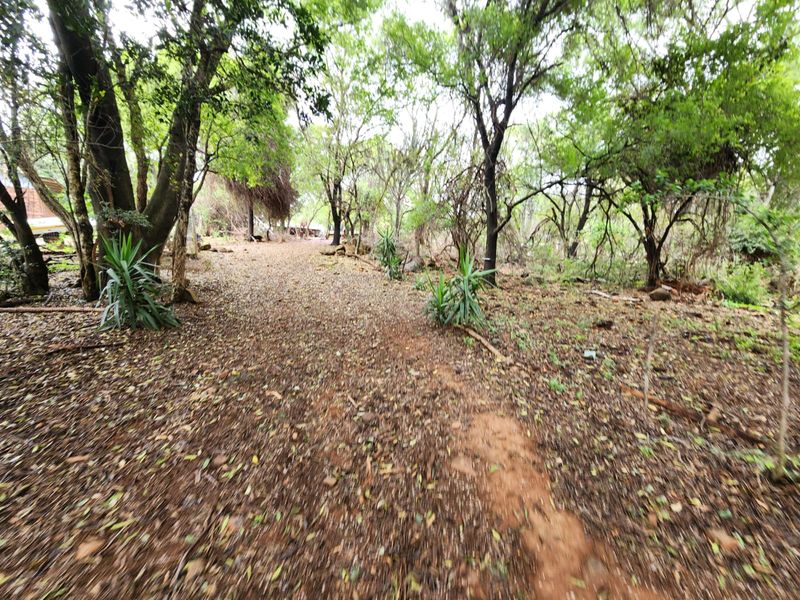 A natural, wooded garden area featuring mature trees and a rustic, unpaved pathway through the landscape.
