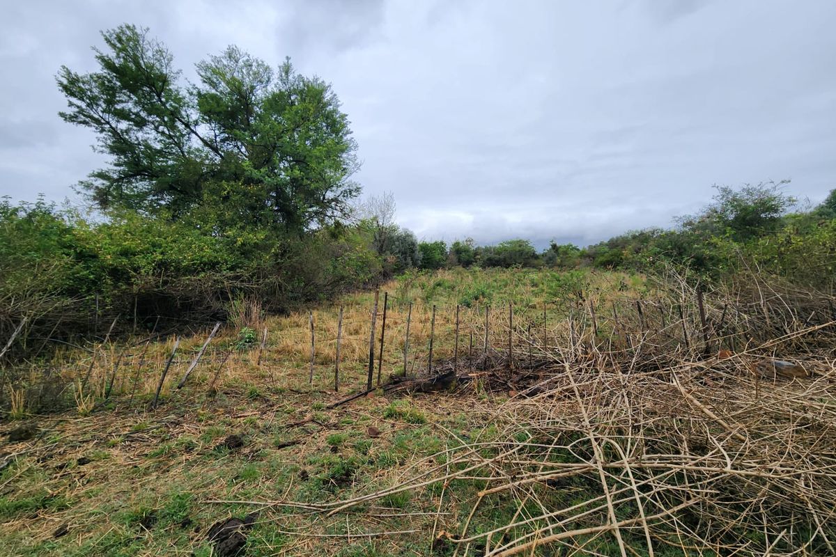 An undeveloped plot of land featuring overgrown vegetation and a dilapidated wire fence boundary.