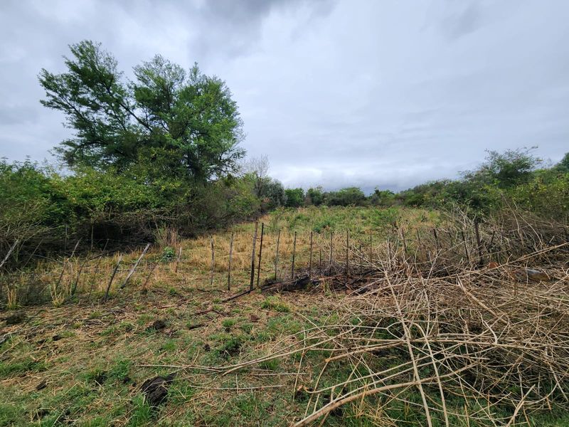 An undeveloped plot of land featuring overgrown vegetation and a dilapidated wire fence boundary.