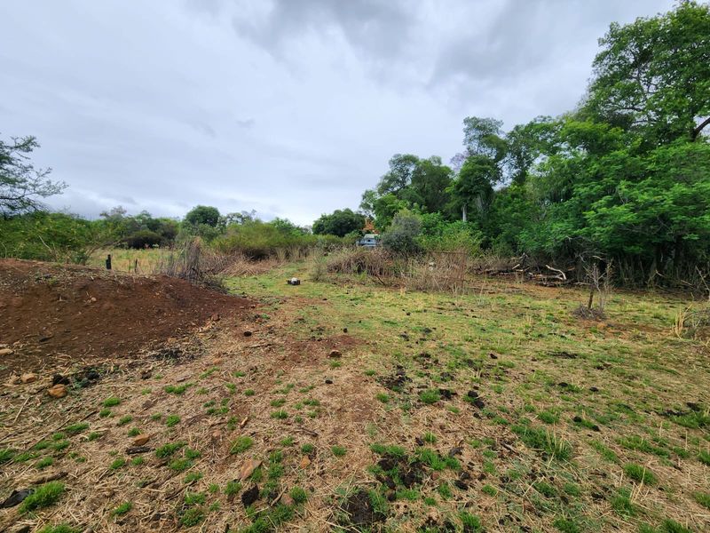 An expansive, undeveloped plot of land featuring mature trees and natural vegetation, offering significant potential for agricultural or residential development.