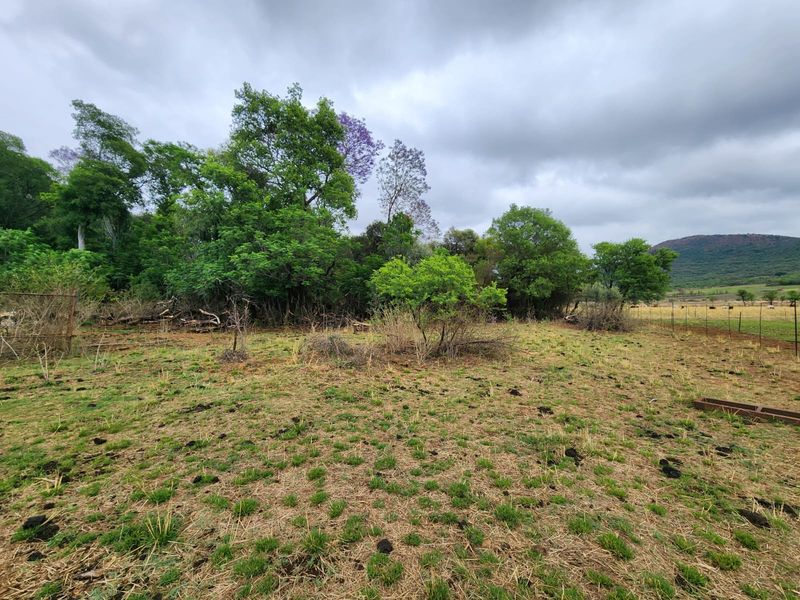 A wide-angle view of the farm landscape featuring natural vegetation, mature trees, and perimeter wire fencing under a cloudy sky.