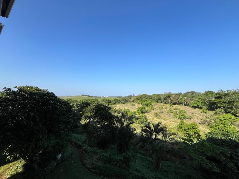 A scenic elevated view overlooking lush green landscape and natural vegetation.