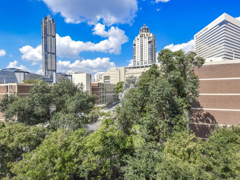 Elevated urban view overlooking mature trees and surrounding high-rise buildings in a central city location.