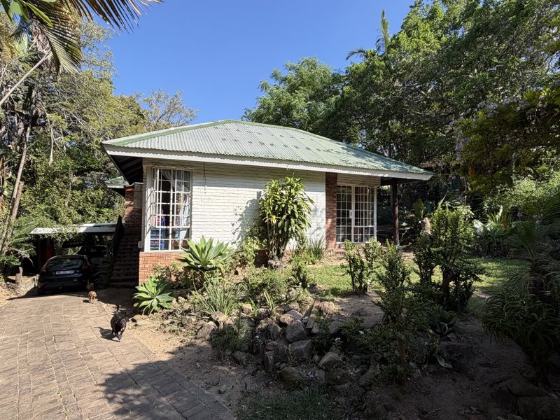 A charming single-story house featuring a corrugated metal roof, brick facade, and a paved driveway set within a lush, mature garden.