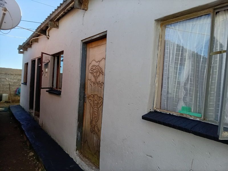 Rear exterior view of the house showing a painted masonry facade, metal window frames, and a decorative wooden door.