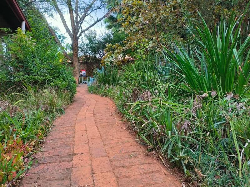 A winding brick pathway leads through a lush, established garden with mature trees and dense greenery.