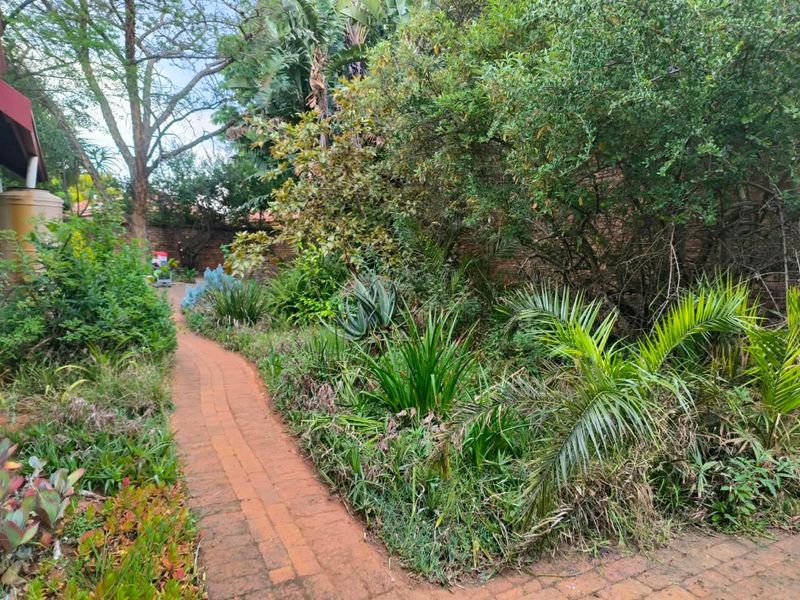 A lush, established garden featuring a brick-paved pathway winding through mature trees, shrubs, and dense greenery, enclosed by a brick boundary wall.