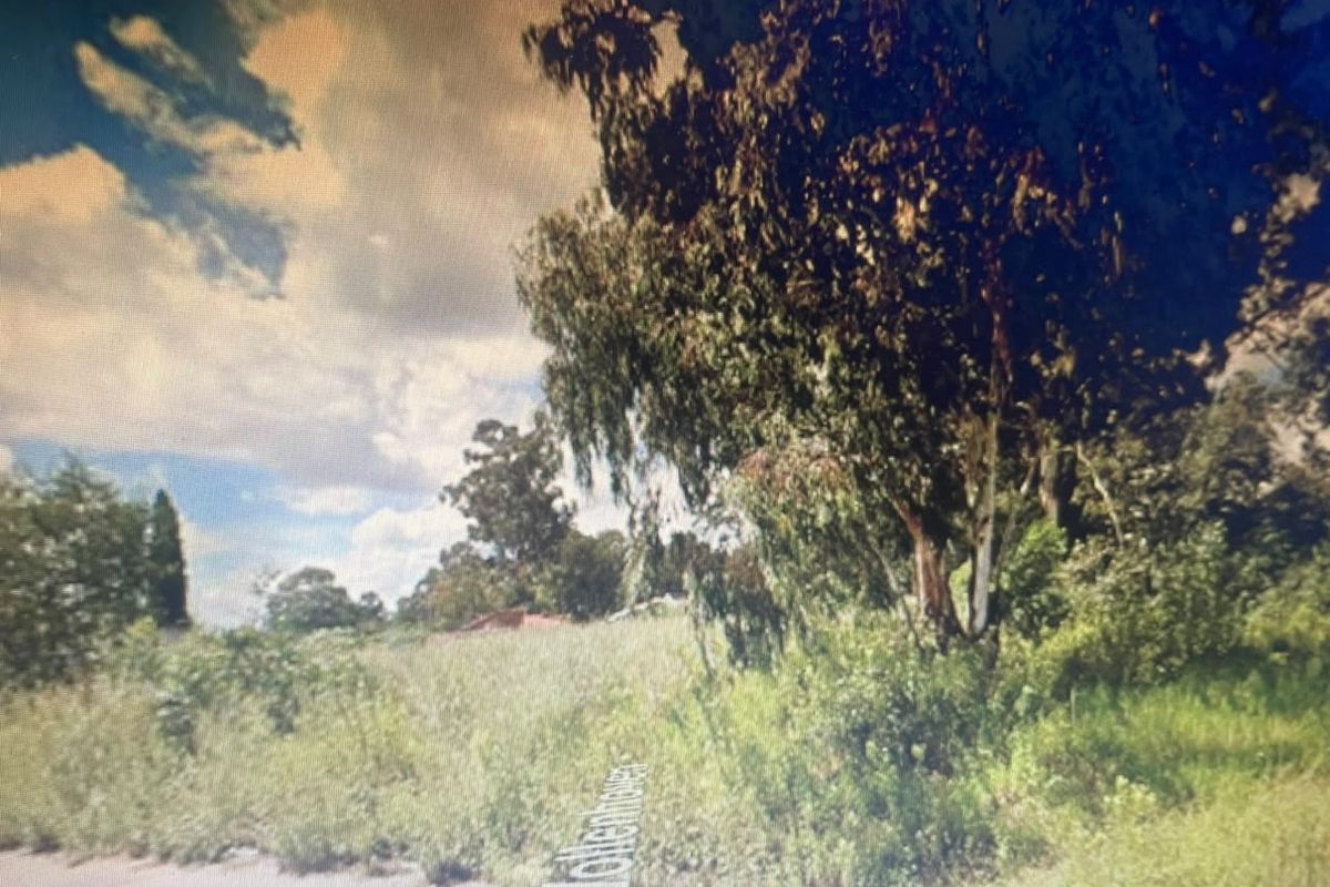 A street-level view of a vacant residential plot featuring mature trees and natural vegetation.