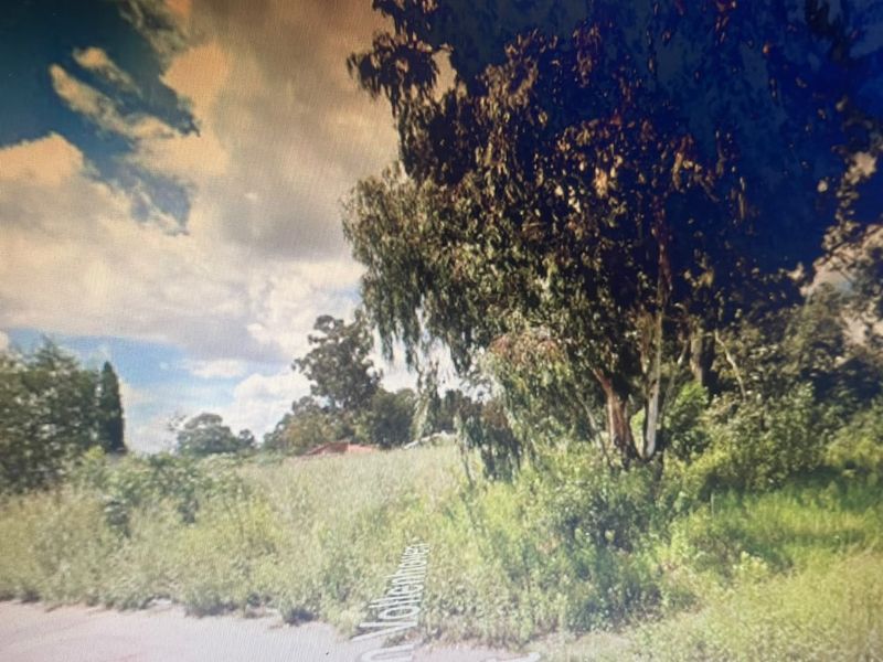 A street-level view of a vacant residential plot featuring mature trees and natural vegetation.