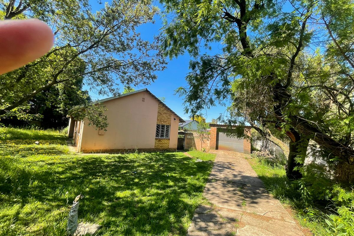 Rear view of the property featuring a concrete driveway, detached garage, and established garden area with mature trees.
