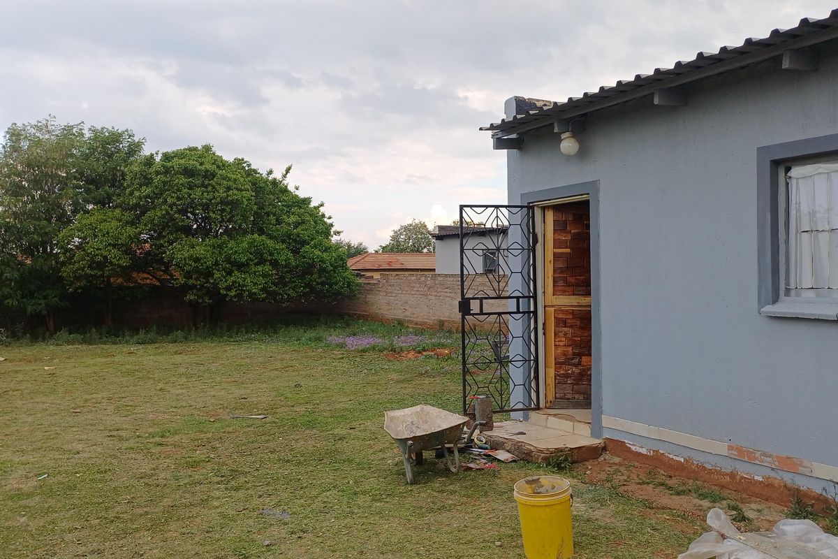 Rear view of the property showing a grassed yard, boundary wall, and exterior wall with a security gate and window.
