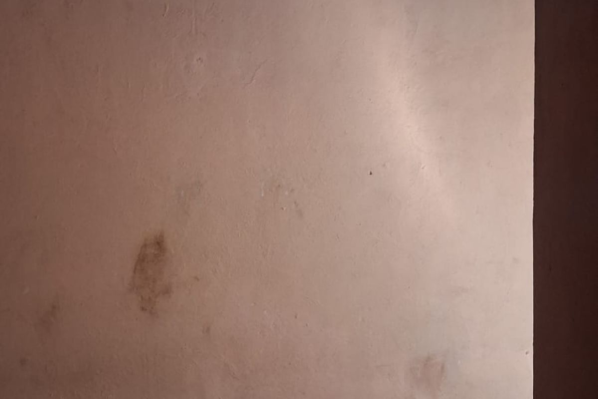 An empty bedroom featuring a timber panelled ceiling, decorative cornice, and checkered floor tiles, requiring wall surface repairs and repainting.