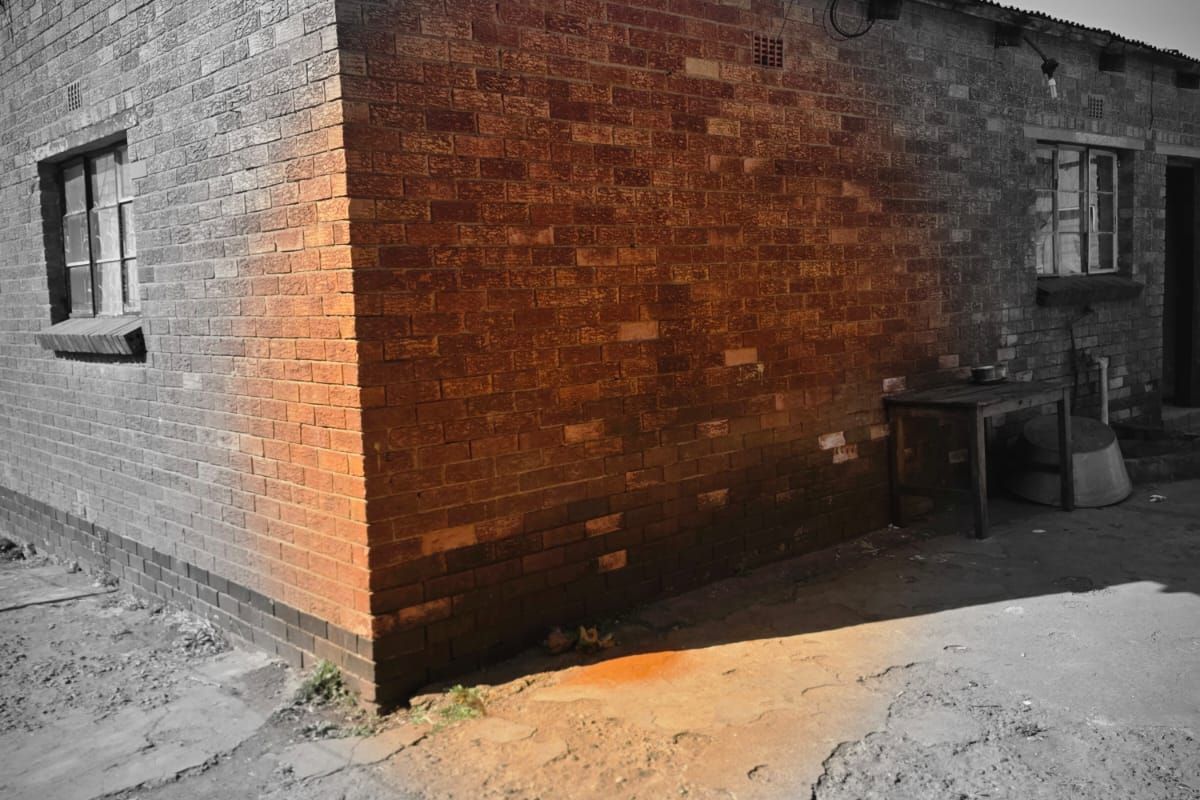 Rear exterior view of a brick house featuring a corrugated metal roof, steel windows, and a weathered concrete yard area.