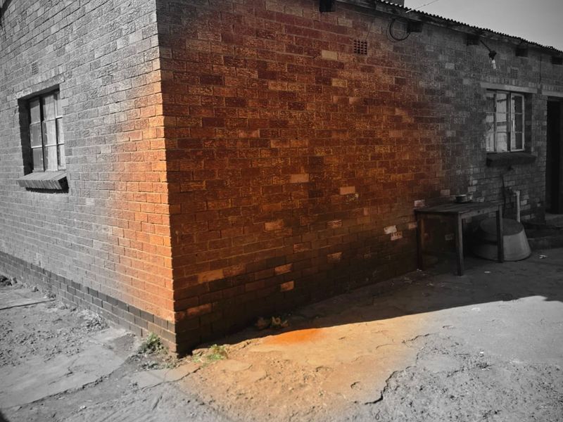 Rear exterior view of a brick house featuring a corrugated metal roof, steel windows, and a weathered concrete yard area.
