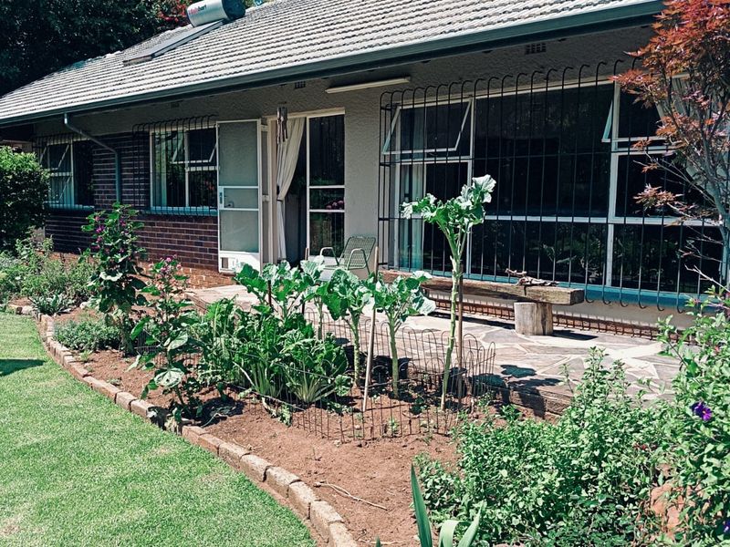 Rear view of the house featuring a stone paved patio, established garden beds, and security bars on the windows.