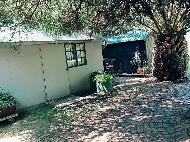 A rear exterior view featuring a cobblestone paved courtyard area with mature trees and a structure with a metal roof.