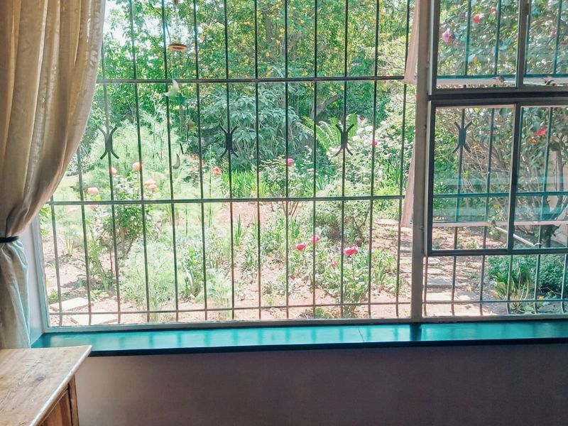 A view through a window with security bars looking out onto a lush, established garden.
