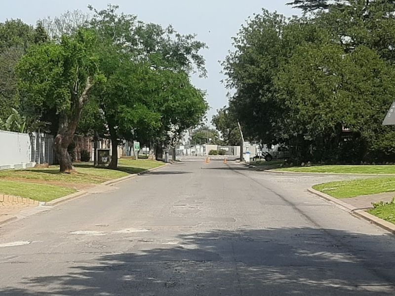 A view of a quiet residential street lined with mature trees, featuring paved sidewalks and grass verges.
