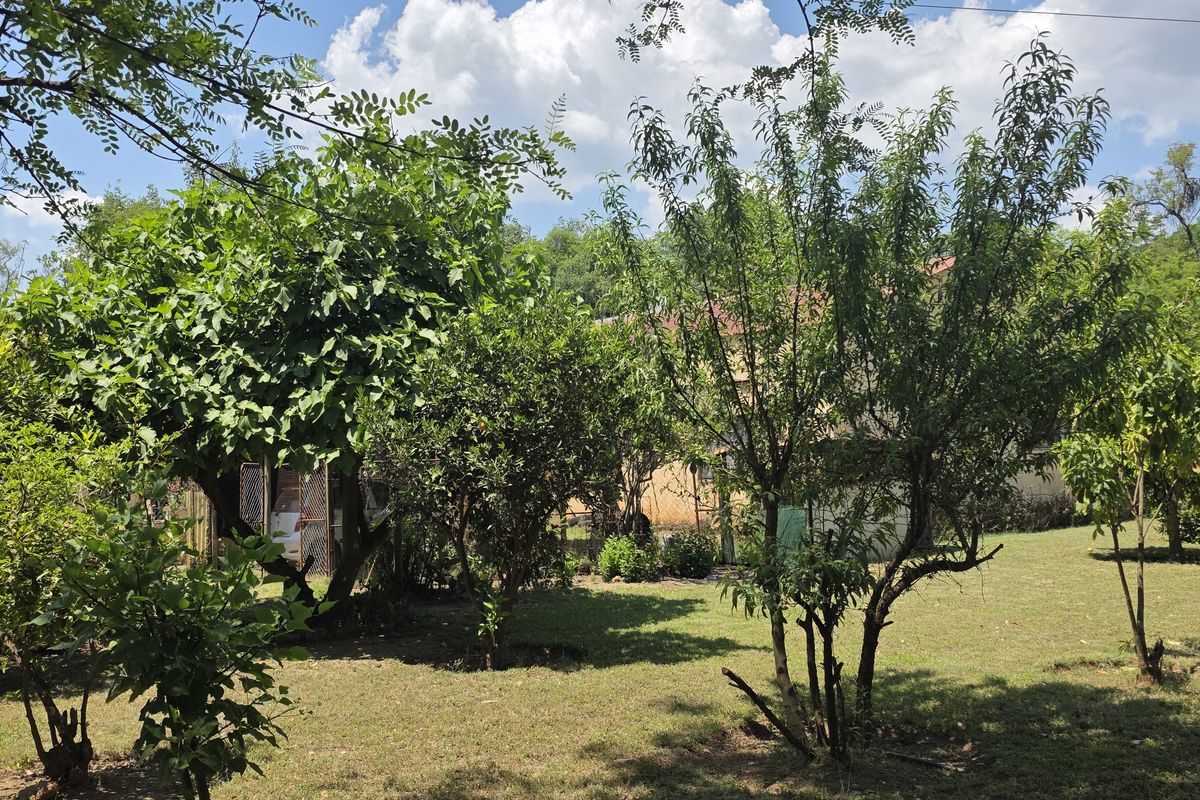 A lush, established garden area featuring mature trees and a well-maintained lawn on the small holding property.
