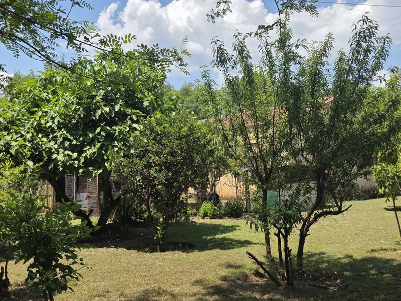 A lush, established garden area featuring mature trees and a well-maintained lawn on the small holding property.