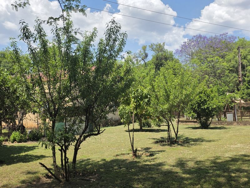 A spacious, well-established garden area featuring mature trees, expansive lawn, and perimeter fencing, offering a peaceful outdoor setting on the small holding.