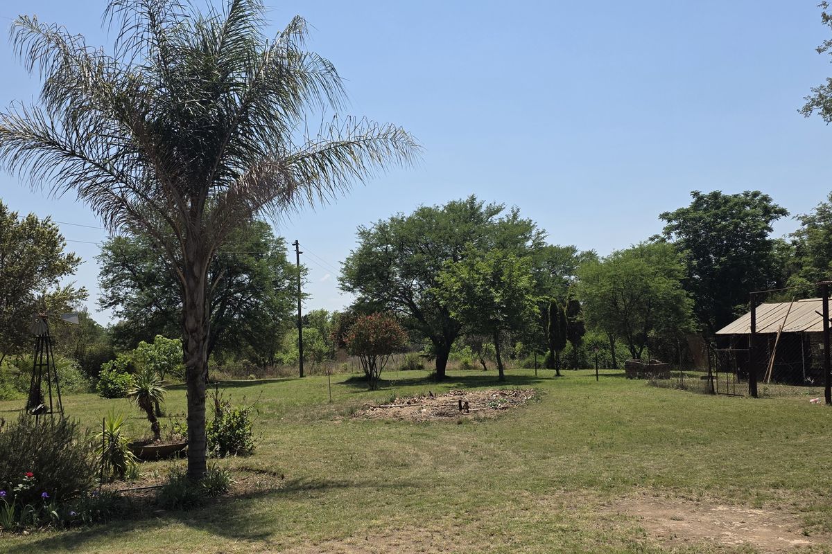 Expansive garden area on a small holding featuring mature trees, a palm tree, and a small outbuilding structure.