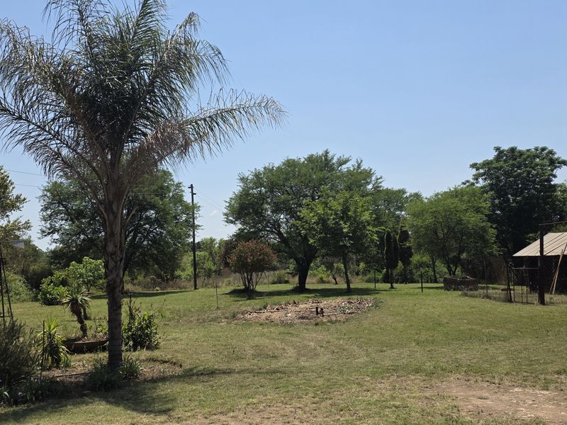 Expansive garden area on a small holding featuring mature trees, a palm tree, and a small outbuilding structure.