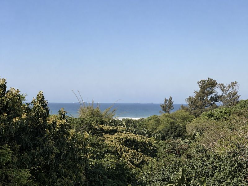 A scenic view of the ocean horizon framed by lush coastal vegetation and trees.