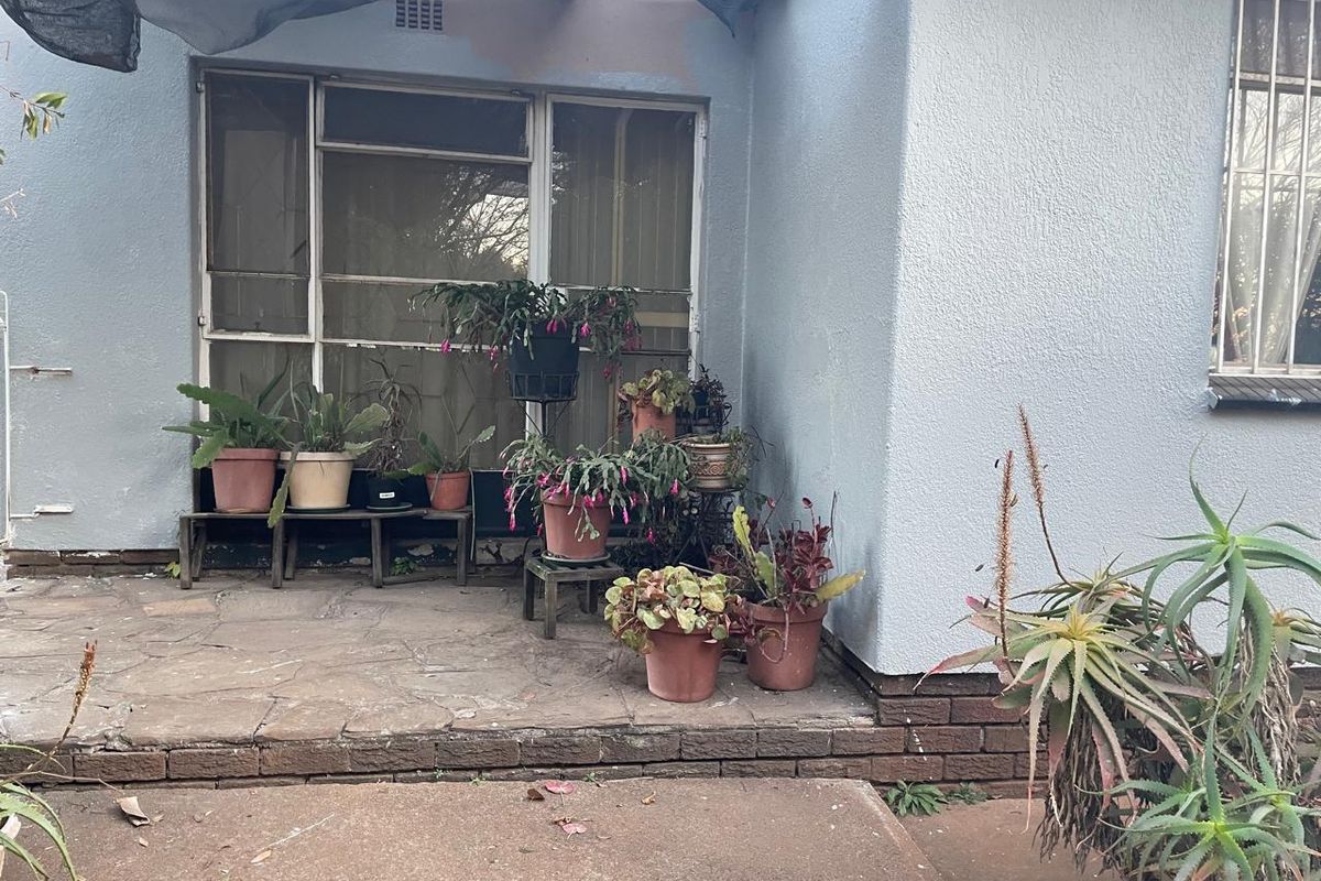 A paved outdoor patio area featuring a brick base, metal window frames with security bars, and overhead shade cloth covering.
