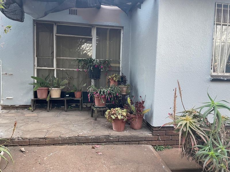 A paved outdoor patio area featuring a brick base, metal window frames with security bars, and overhead shade cloth covering.