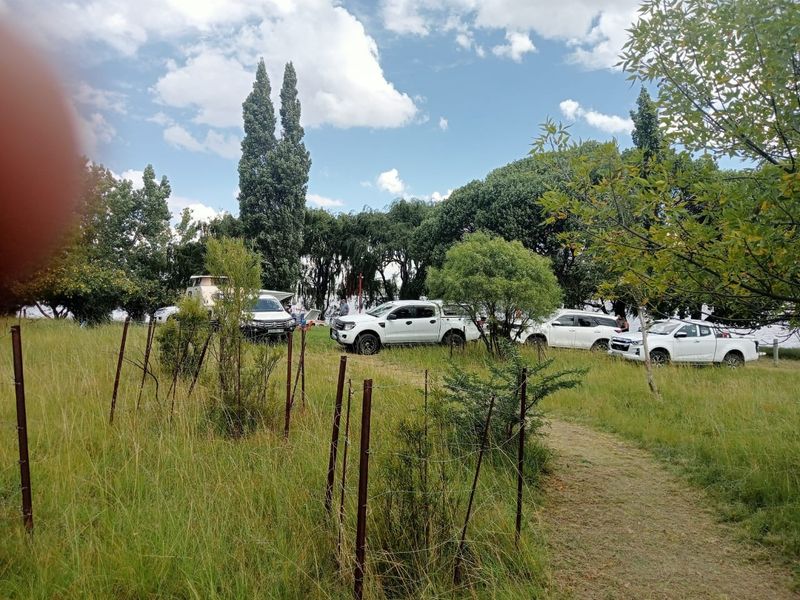 A grassy outdoor area on the farm featuring wire fencing and mature trees, providing an open space for parking or recreational use.