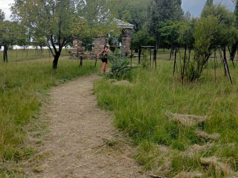 A natural garden path leading towards stone pillars on a farm property.