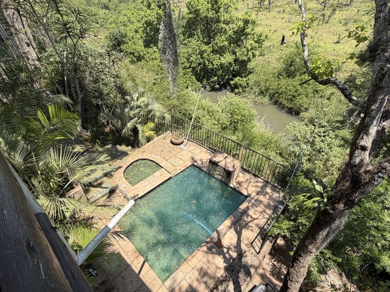 An elevated view of a swimming pool and integrated spa set within a natural, wooded landscape with a metal safety fence.
