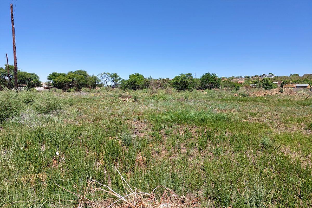 A view of a vacant residential plot featuring natural vegetation and a utility pole under a clear blue sky.