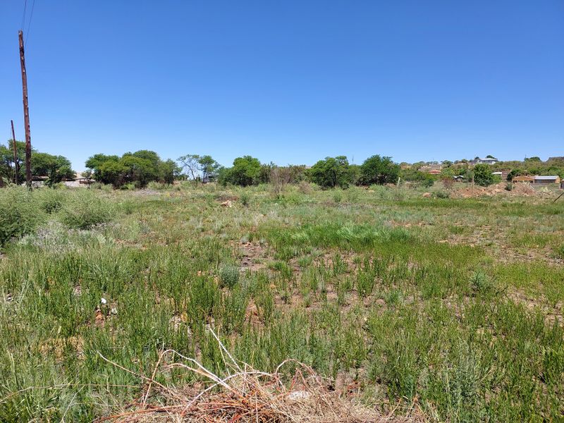 A view of a vacant residential plot featuring natural vegetation and a utility pole under a clear blue sky.