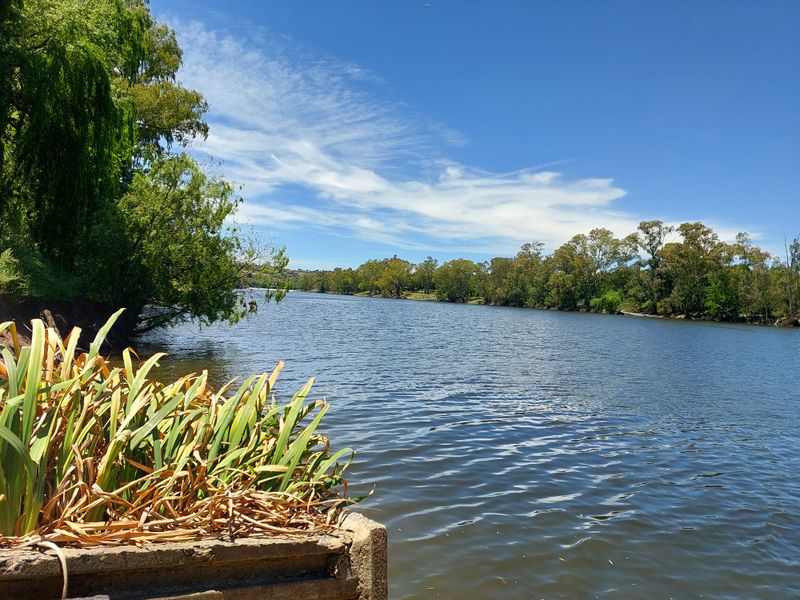 A scenic view of the river with mature trees along the banks and a concrete retaining wall in the foreground.