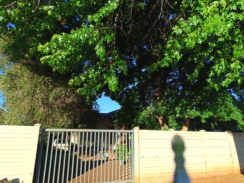 Front view of the property featuring a metal driveway gate and precast concrete boundary wall, partially obscured by mature trees.