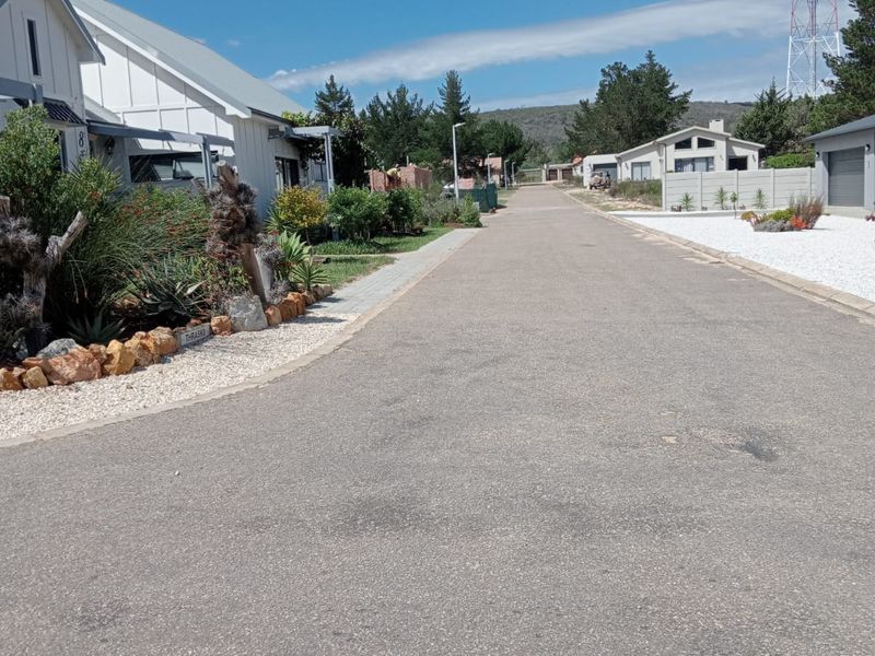 A clear street view showing the paved road, surrounding residential properties, and established landscaping in a quiet neighborhood setting.