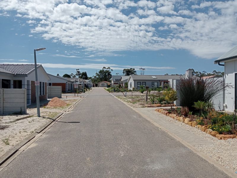 A clear street view of a residential estate featuring paved roads, street lighting, and established landscaped garden beds along the property boundaries.