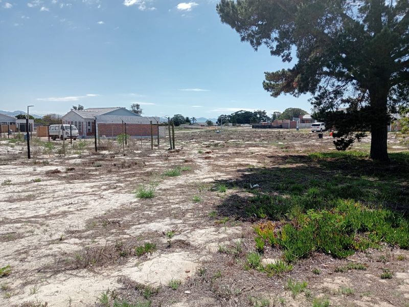 A vacant residential plot featuring sandy terrain, wire fencing, and a large mature tree, offering a clear space for future development.